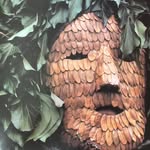 Kyle Von Müller - @kylevonmuller - Instagram