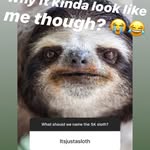 Kyle Wagoner - @itsjustasloth_ - Instagram