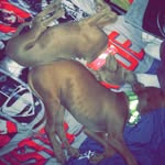 Kyle Wagoner ( Jugheads Dad ) - @storm_and_juhead_the_pits - Instagram