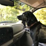 Kyle Waldrop - @rbubbawaldrop - Instagram