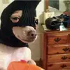 ClippZy - @kylerwaltz - TikTok
