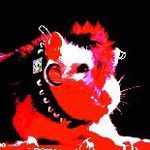 Kyle Warden - @punk_hamsters_r_us - Instagram