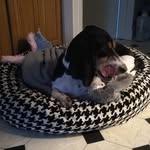Kyle Warrington - @rommaster2 - Instagram