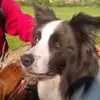 kylewarrington5 - @kylewarrington5 - TikTok
