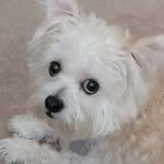 Kyle Warwick - @kdub2806 - Instagram
