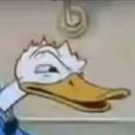 Kyle Warwick - @kyle.warwick1 - Instagram