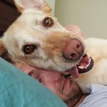 Kyle Waters - @dirty_haole - Instagram