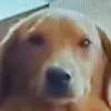 kyleweakleylittle - @kyleweakleylittle - TikTok