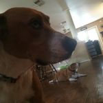 Kyle Webber - @webber_young_ - Instagram