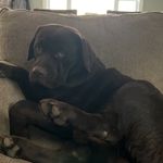 Kyle Webber - @kyle.webber.796 - Instagram