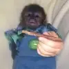 Kyle Webber - @chaosklam - TikTok