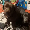 Kyle Webber - @kyle.webber15 - TikTok