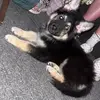 kyler.weiler2243 - @kyler.weiler2243 - TikTok