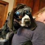 Kyle Weinberg - @weinbergkyle - Instagram