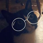 Kyle Westcott - @kyle_westcott - Instagram