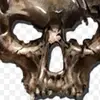 kylewhitham2515 - @skullmaskedman307 - TikTok
