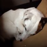Kyle Wickman - @kylewickman03 - Instagram