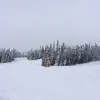 kyle.wickman - @kyle.wickman - TikTok