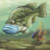 Fishing USA - @kylewidger - TikTok