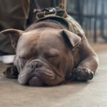 Kyle Wiley - @kwiley1982 - Instagram