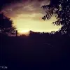 RAJESH_BABARA - @kyle_willman - TikTok