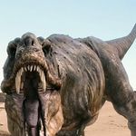 Kyle Windham - @kyle_windham_41103 - Instagram