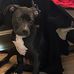 Kyle J Wingate Sr. - Facebook