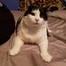 Kyle Wininger - Facebook