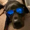 Kylewinn25 - @kylewinn2 - TikTok