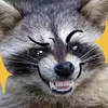 kylewinn3 - @kylewinn3 - TikTok