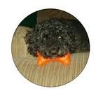 kyle lumbert - @kyle_the_winner - Instagram