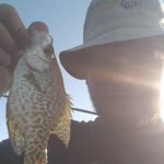 Kyle Winner - @kyle__d1 - Instagram