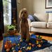 Kyle Woodham - Facebook