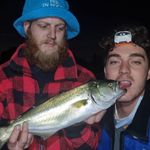 Kyle Yeoman - @kyleyeoman - Instagram