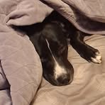 Kylee M Barnes - Facebook