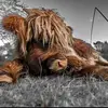 Kylee Grant - @kylee.grant4 - TikTok