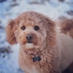 Kylee Hardy - @hardyboyhank - Instagram