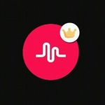 kylee howell - @cool_musiclys_only_and_musers - Instagram