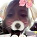Kylee Marshall - Facebook