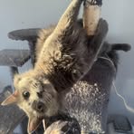 Kylee Martens - Facebook
