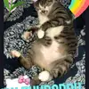 christinakeiner3 - @kylee_miranda.dancepage - TikTok
