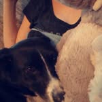kylee olson - @saggitarius.love - Instagram