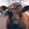 Kylee Robinson - @kylee.robinson79 - TikTok