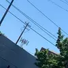 kyleerutherford46 - @singer_20051 - TikTok