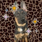 Kylee Watkins - Facebook