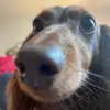 kyleigh - @.kyleighanderson - TikTok