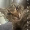 Kyleigh Collins - @kyleigh.collins1 - TikTok