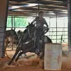 Kyleigh Smith - @kyleigh.smith23 - TikTok