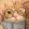 Kyleigh34058 - @kyleighsullivan - TikTok
