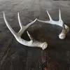 harris_kyler - @harris_kyler - TikTok